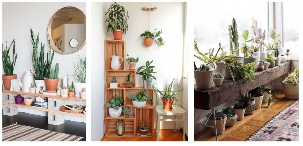 Proyecto: plantas en el dormitorio | Revista KENA México