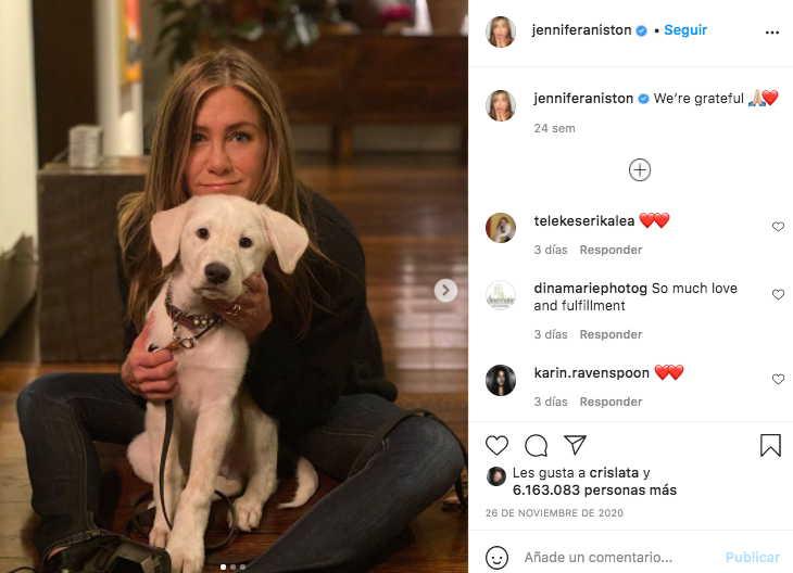 perros de Jennifer Aniston