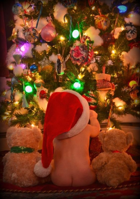 Tres peluchitos hermosos y navideños. Foto: Pinterest 