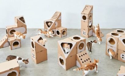 Caja de cartón para gatos