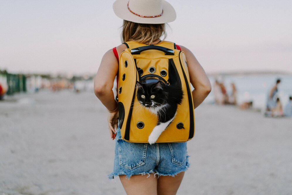 Consejos preventivos para viajar con tu mascota sin contratiempos. Freepik