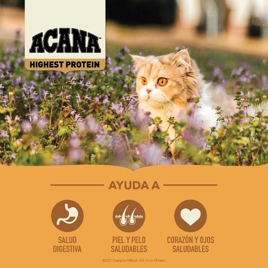 acana-gato-champion-petfoods