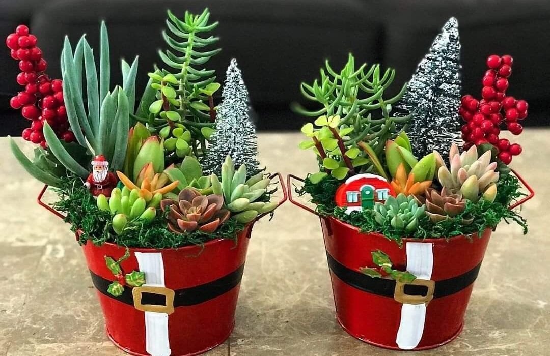 https://es.pinterest.com/pin/4785143350504565/