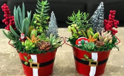 https://es.pinterest.com/pin/4785143350504565/