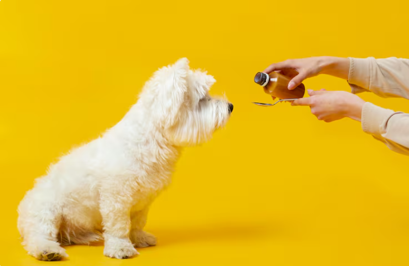 Aceite de pescado para los consentidos. Freepik