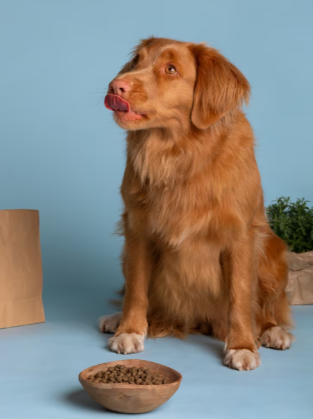 Fortalecer vínculos emocionales. Freepik