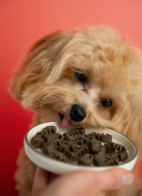 Alimento súper premium