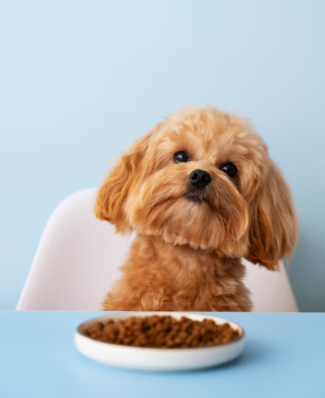 Nutrición biológicamente apropiada