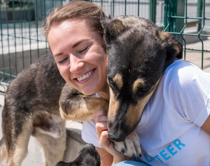 Salud mental y mascotas
