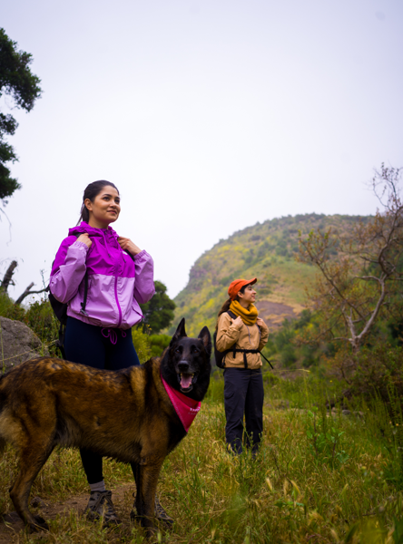 ¿Has montado a caballo? 