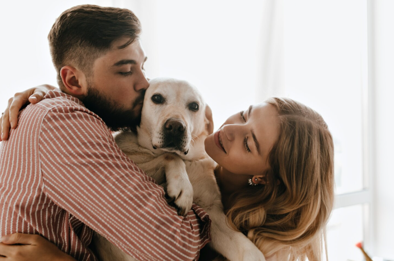 Presupuesto para mascotas