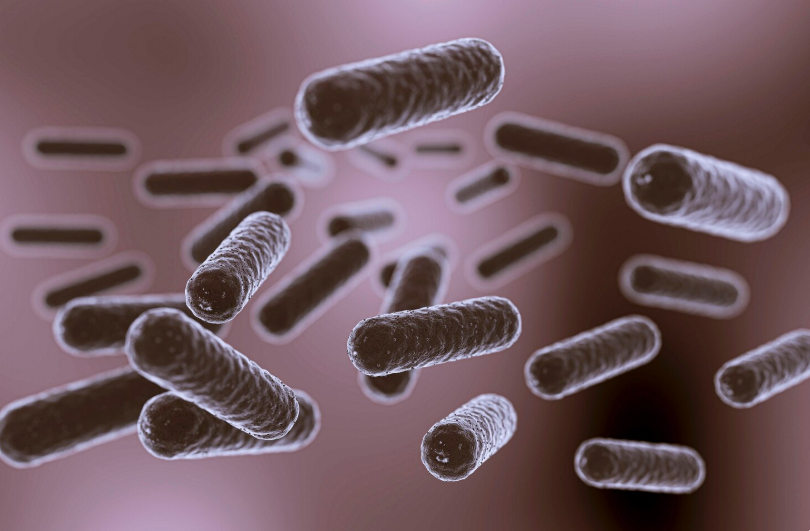 Cero automedicación