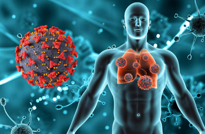 Sistema inmunológico