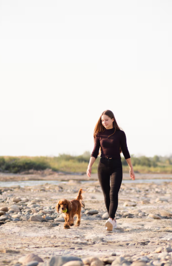 Ejercicio con perros