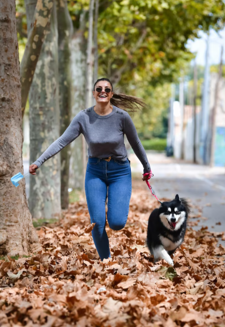 Vda activa con tu mascota 