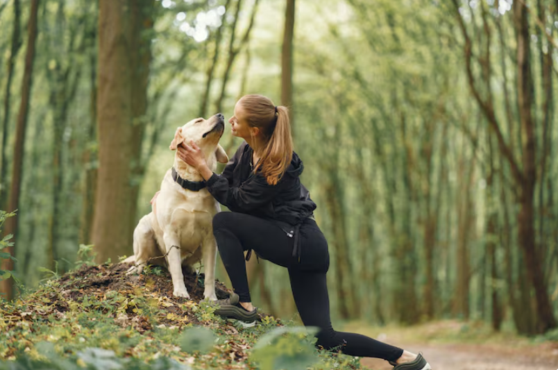 Bienestar compartido