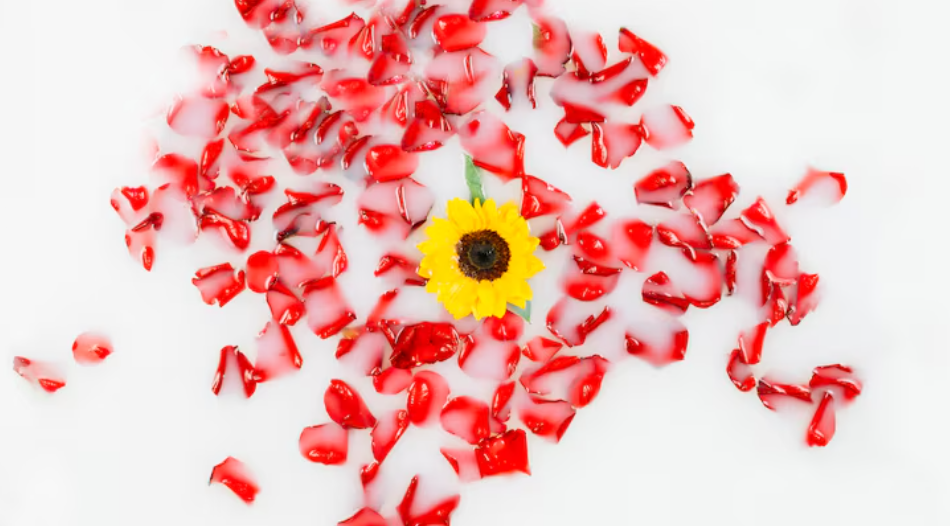 Rituales de los signos