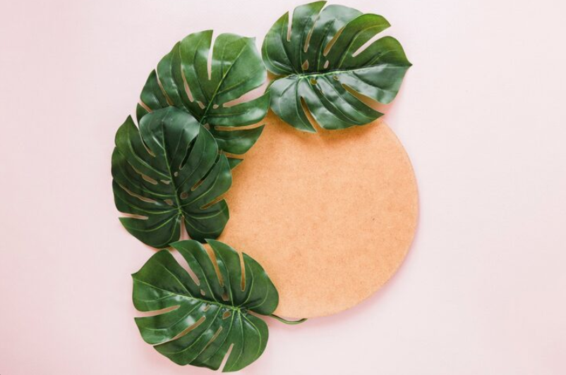 Decoración con monstera