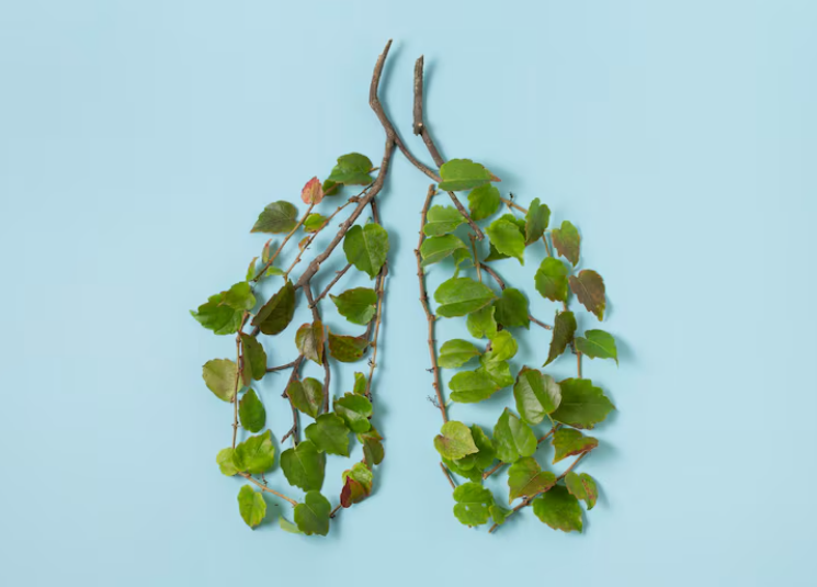 Respiración consciente