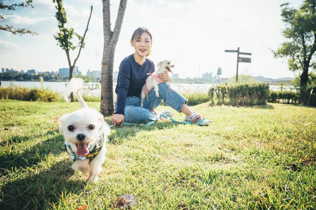 Esterilización de mascotas en México