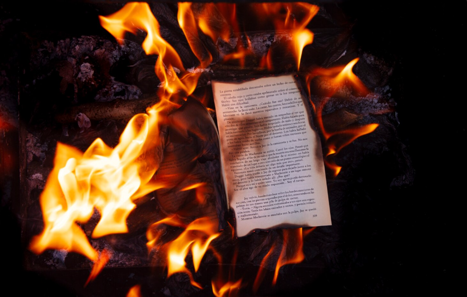 Aprovecha la energía de Venus febrero