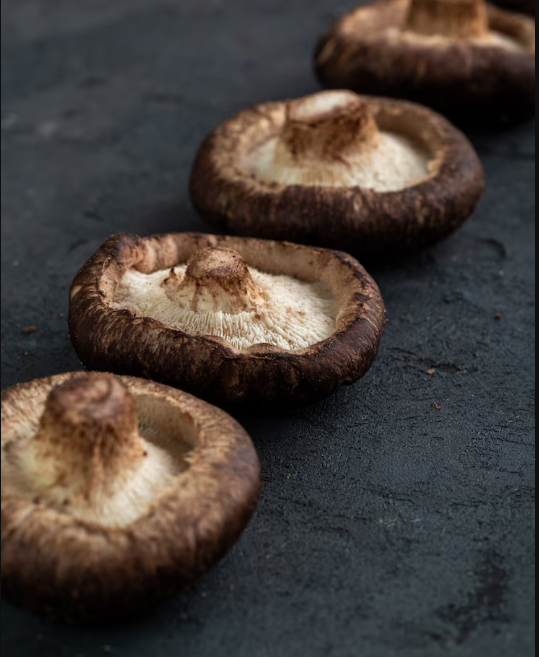 Excelente sustituto de carne