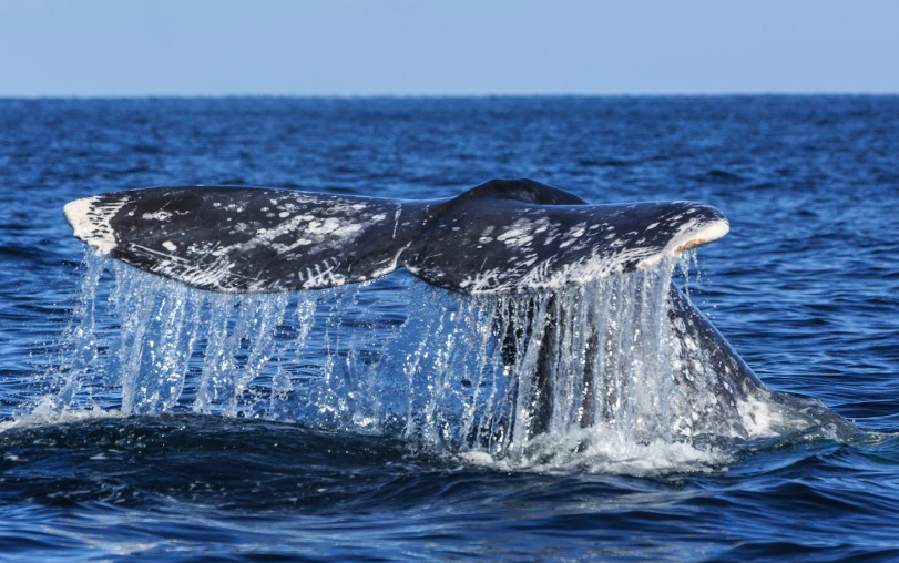 Turismo sustentable México