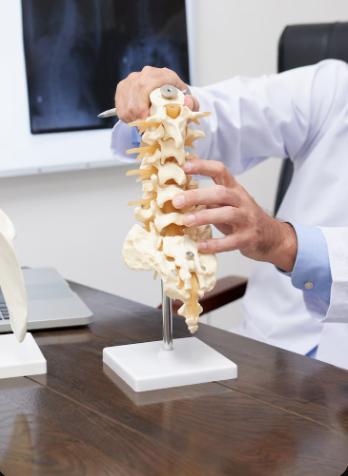 Cuidado del esqueleto