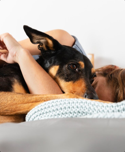 Nutrición funcional mascotas para una vida feliz 