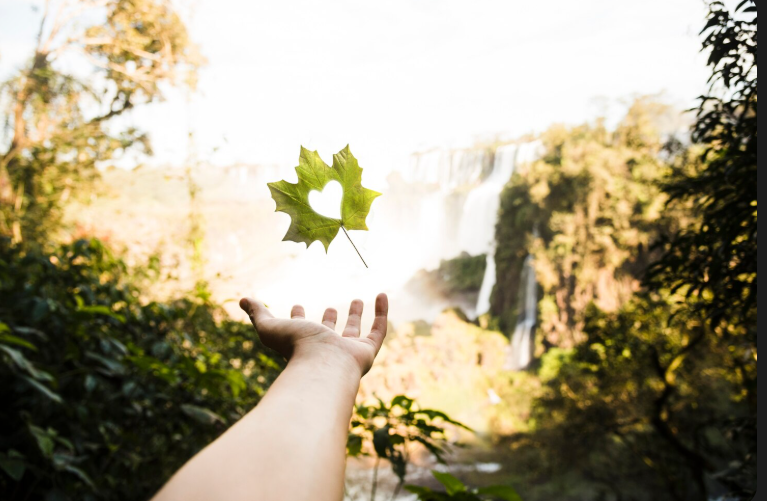 Cómo bajar el cortisol