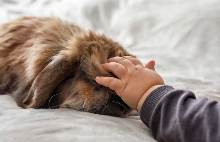 Tanatología infantil