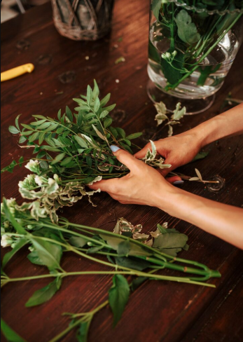 Resistencia y autocuidado