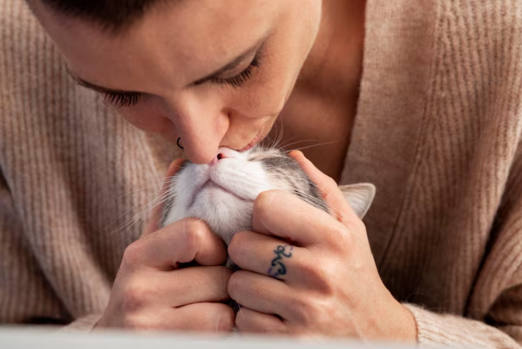 Sabiduría felina para mujeres