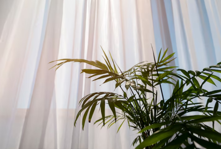 Interiorismo consciente