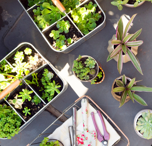 Huertos inteligentes