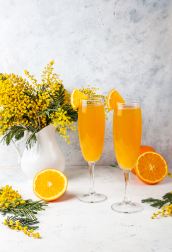 Mimosa en Quesería