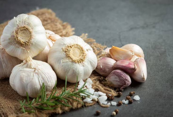 Nutrición y dopamina