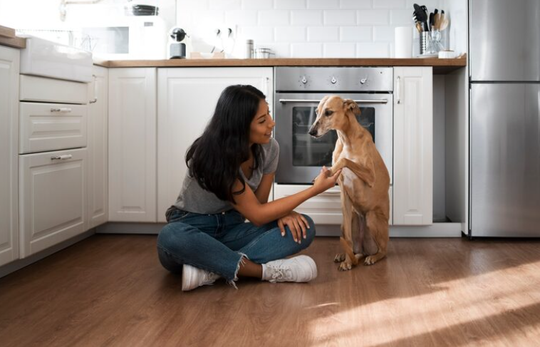 Nuestro bienestar y el de nuestras mascotas, ¡funcionalidad!