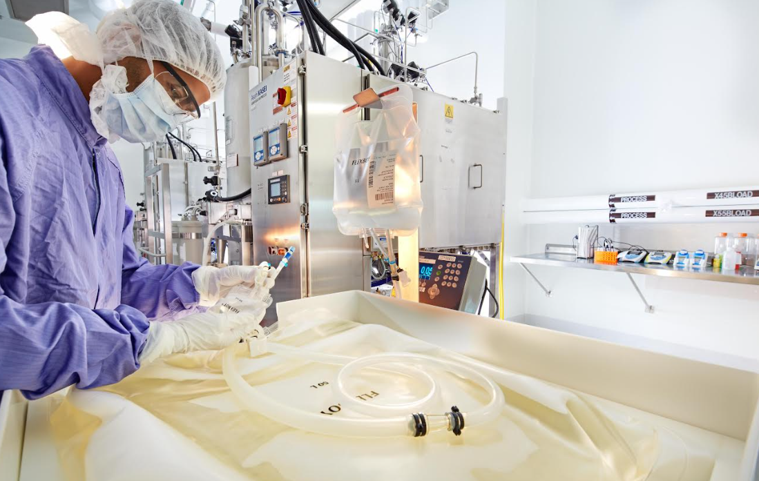 Día Mundial de la Hemofilia