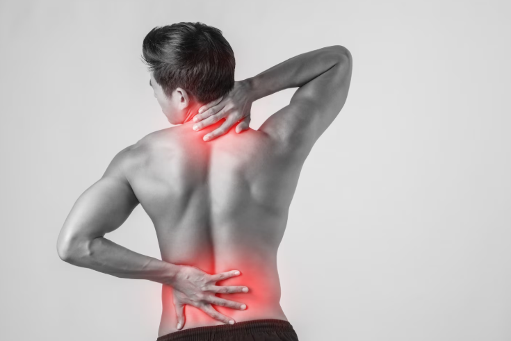 Zona lumbar y cervical 