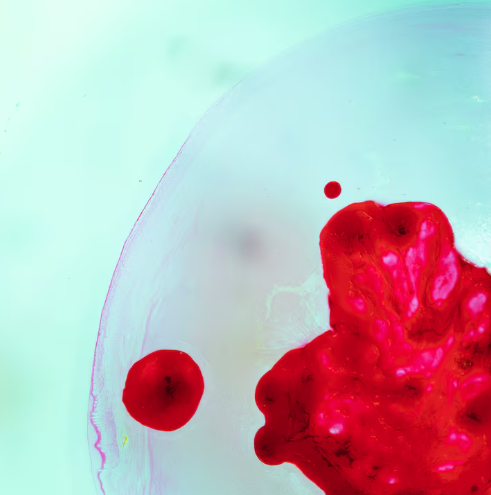 Portadoras de hemofilia