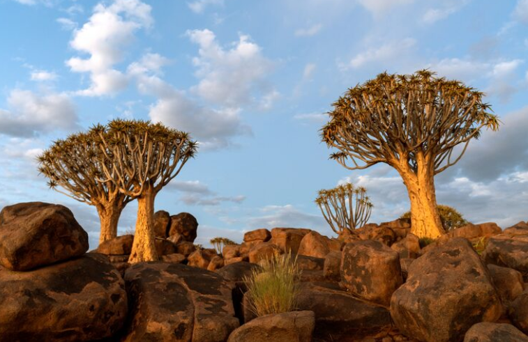 Mejores destinos bodas 2026- Namibia