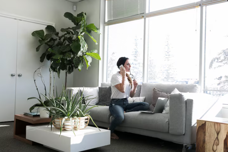 Decorar con plantas