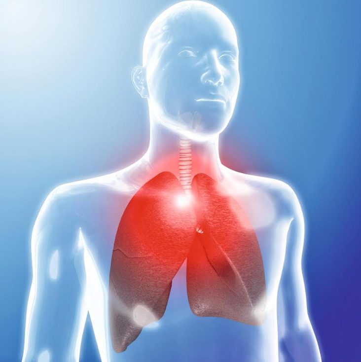 Presión arterial pulmonar