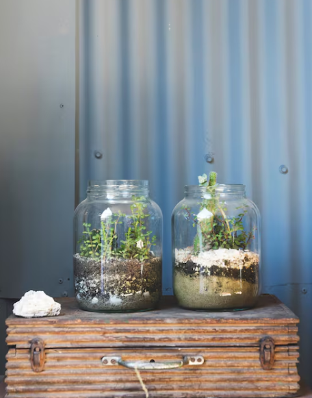 Decoración con plantas