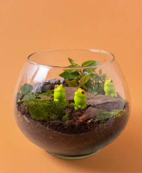 Plantas para espacios reducidos