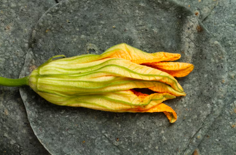Flor de calabaza