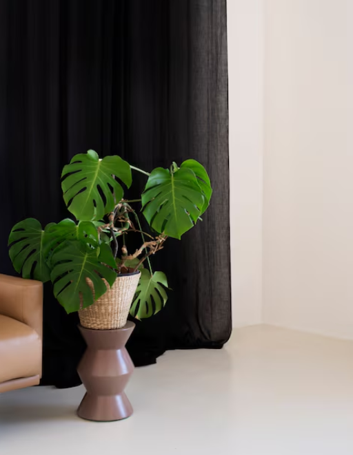 Diseñar tu casa