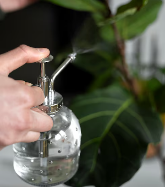 Fertilizante natural para plantas
