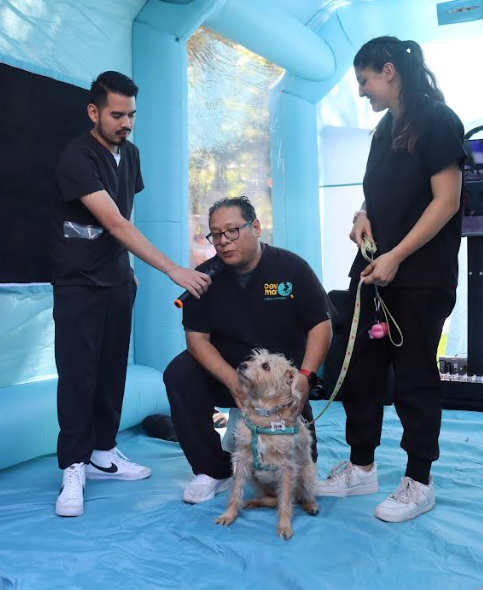 Ciudad para las Mascotas